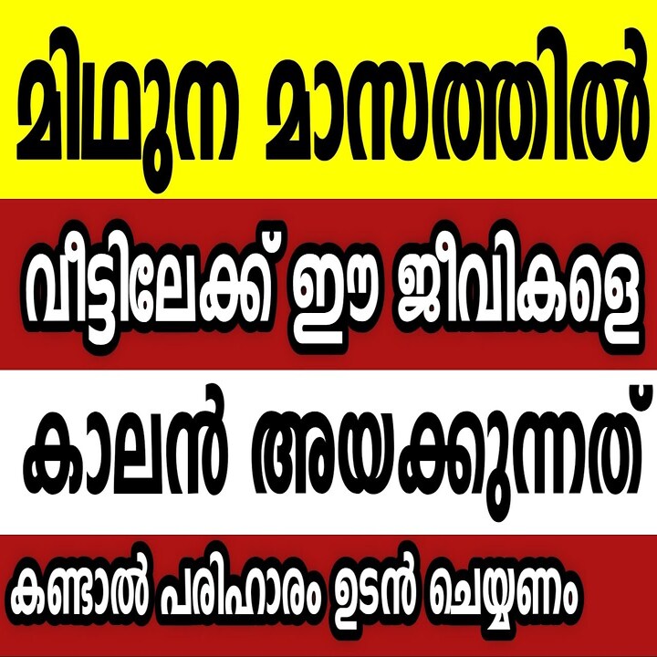 മിഥുനമാസത്തിൽ ഈ ജീവികൾ വീട്ടിലെത്തിയാൽ അനർത്ഥം; ഒഴിവാക്കാൻ ചെയ്യേണ്ട പരിഹാരങ്ങൾ