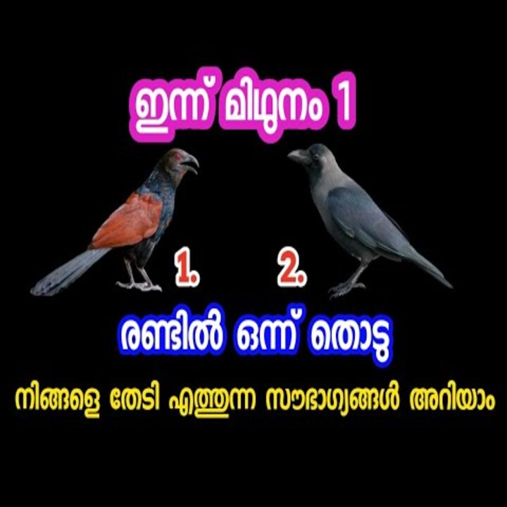 മിഥുന മാസ ഫലം: നിങ്ങളുടെ ജീവിതത്തിൽ വരാനിരിക്കുന്ന മാറ്റങ്ങൾ അറിയാം