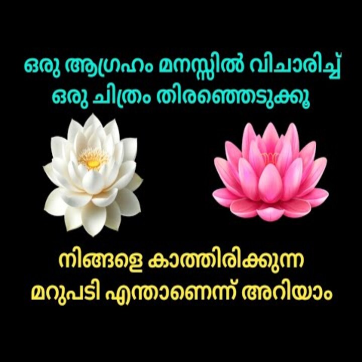 നിങ്ങളുടെ ആഗ്രഹങ്ങളെക്കുറിച്ച് പ്രപഞ്ചശക്തി നൽകുന്ന സന്ദേശം എന്താണ്?