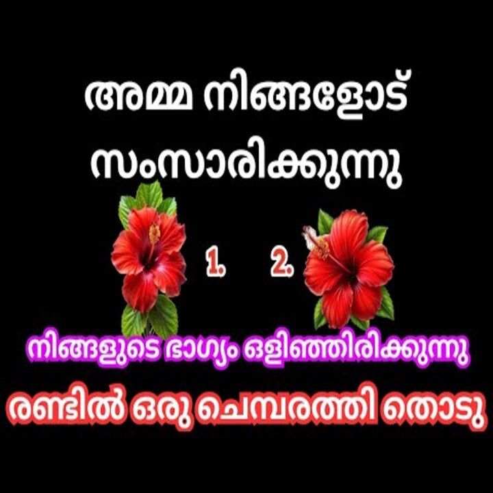 Goddess Mahamaya Hibiscus Flower Prediction for Divine Guidance